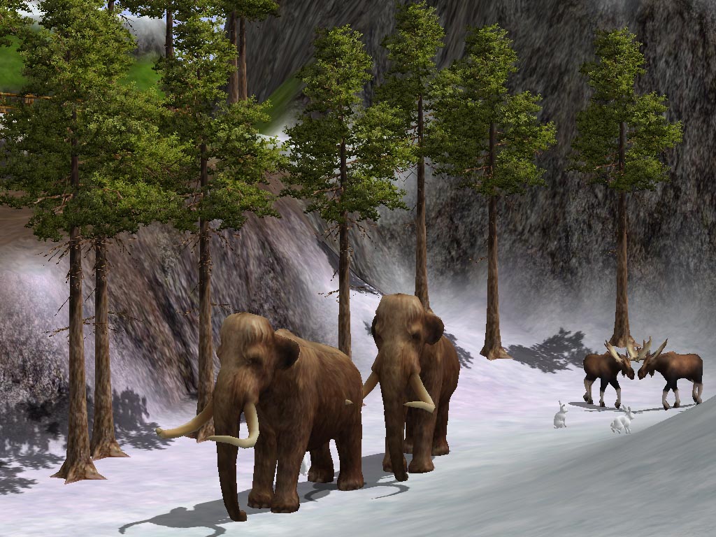 Wildlife Game Wildlife Game