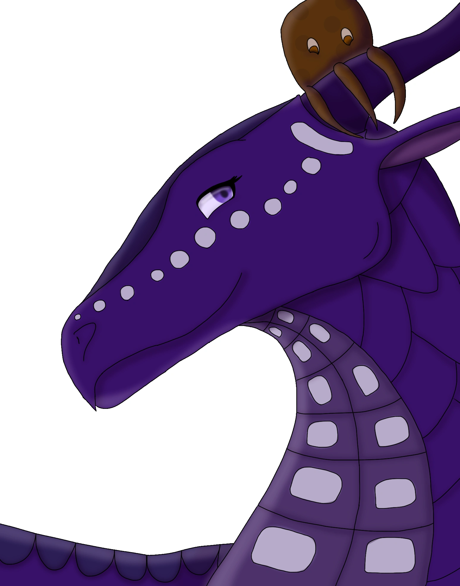 Indigo Wings of Fire Wiki Fandom powered by Wikia