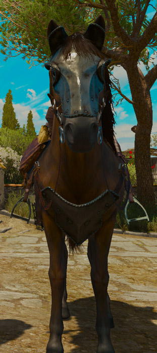 witcher 1 save generator witcher 1 save generator