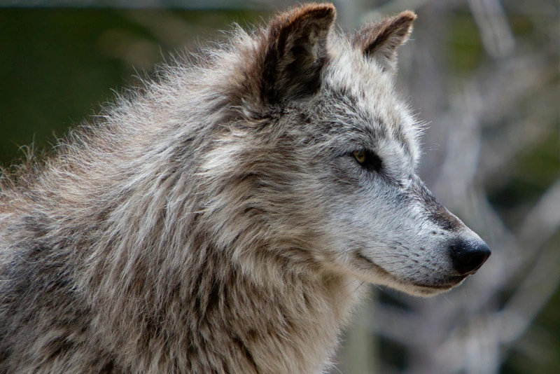 latest?cb=20140423215900