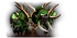 Ui-ej-boss-high-priest-venoxis.png