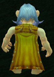 Insignia Cloak, Grass Background, Gnome Male