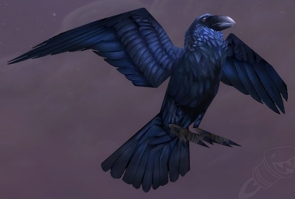 legion druid glyph of the sentinel owl flight form wow sentinel owl flight form