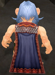 Cloak of Avian Feathers