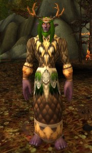 Malfurion Stormrage During Sundering