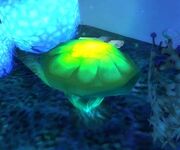 Fulgor Spore