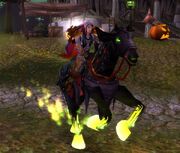 The Horseman Reins