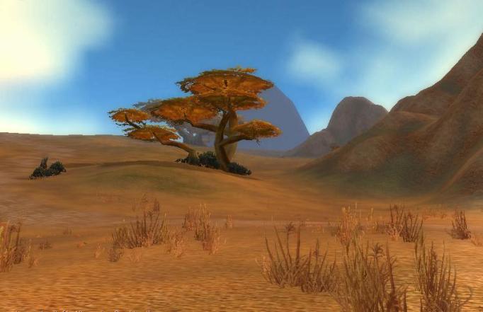 Barrens_at_Day.jpg