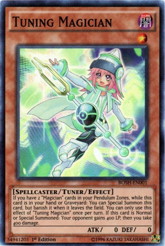 TuningMagician-BOSH-EN-SR-1E.png