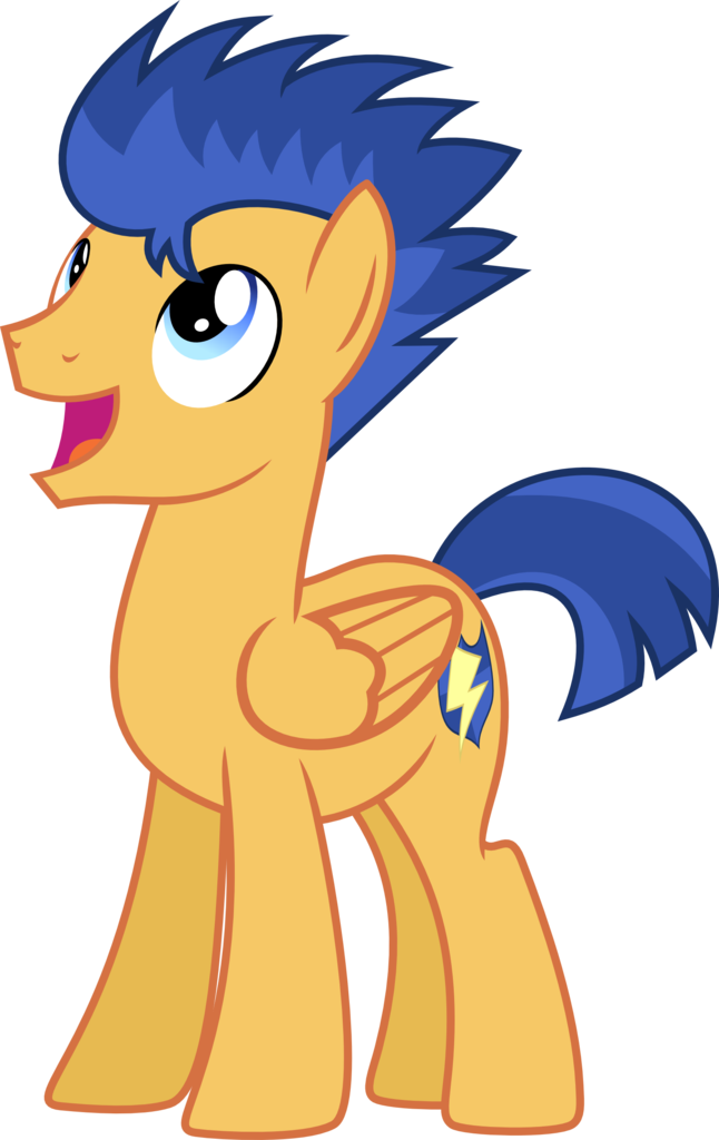 flash sentry flash sentry