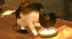 Link el gato.png