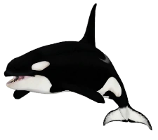 latest?cb=20120503145856