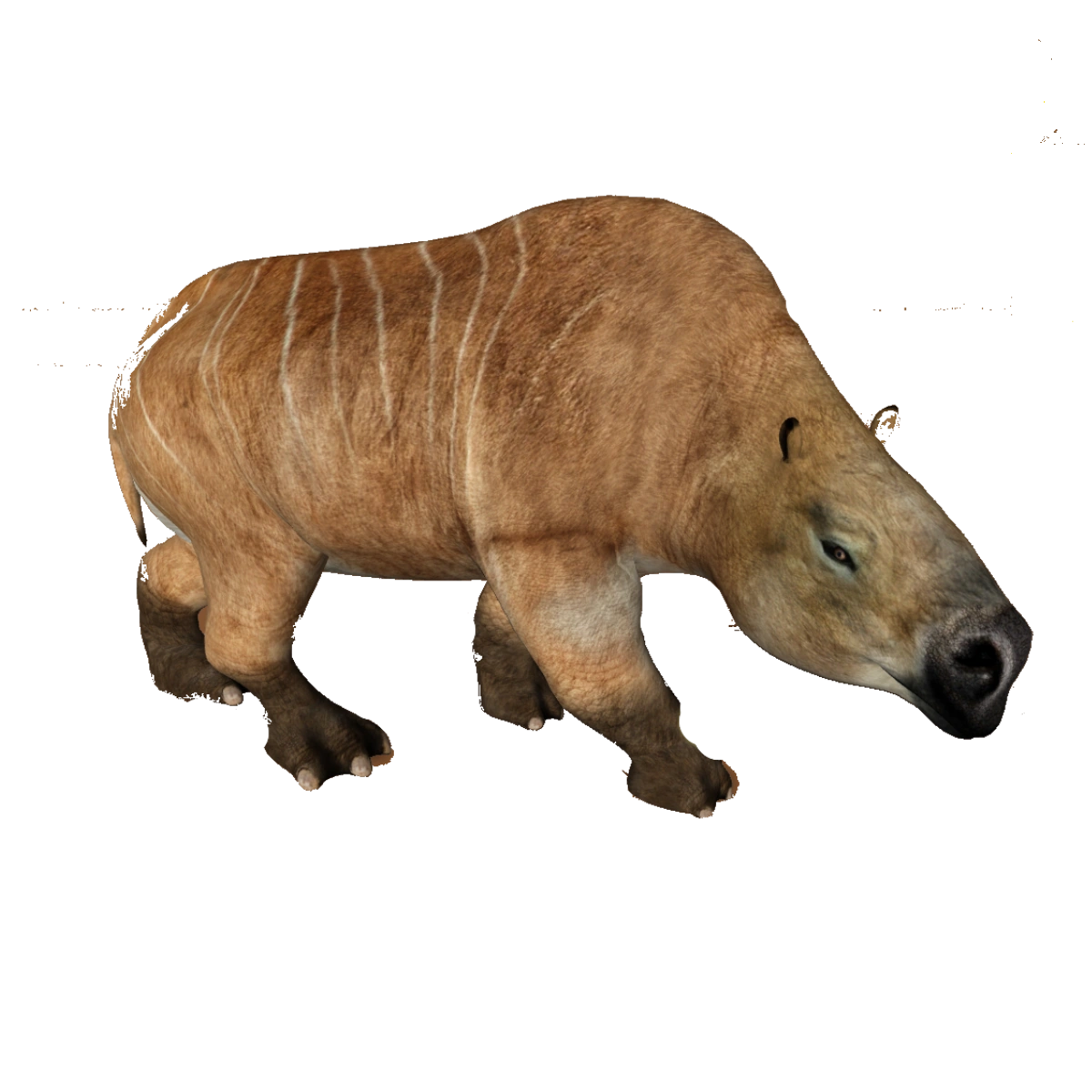 Categoryliving Animals Zt2 Download Library Wiki Induced Info