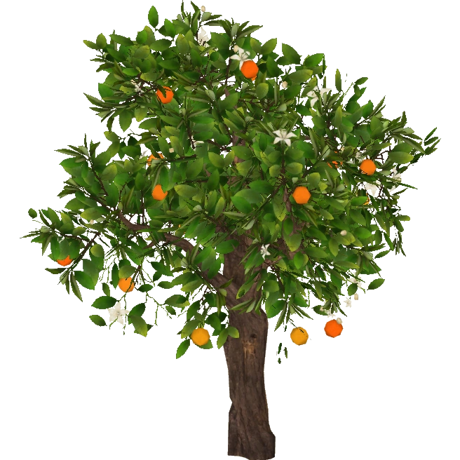 Orange Tree (slice) ZT2 Download Library Wiki FANDOM powered by Wikia