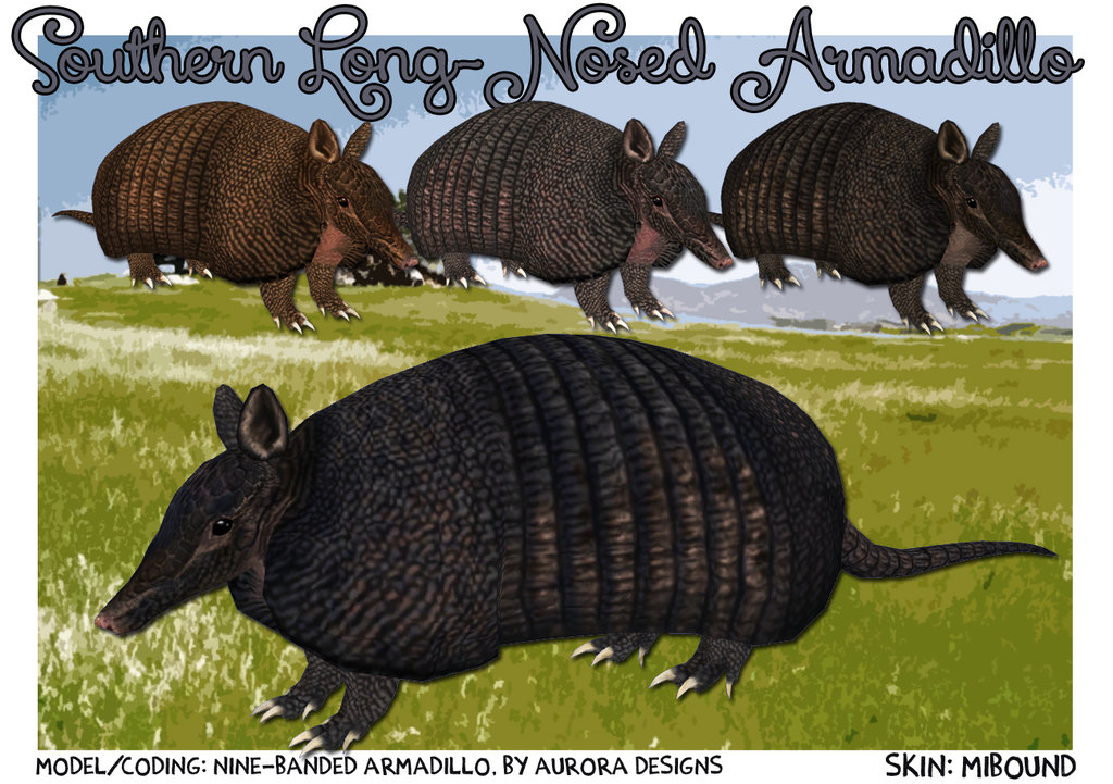 Southern Long Nosed Armadillo Mibound Zt2 Download Library Southern Long Nosed Armadillo Mibound Zt2 Download Library Wiki Fandom Powered By Wikia