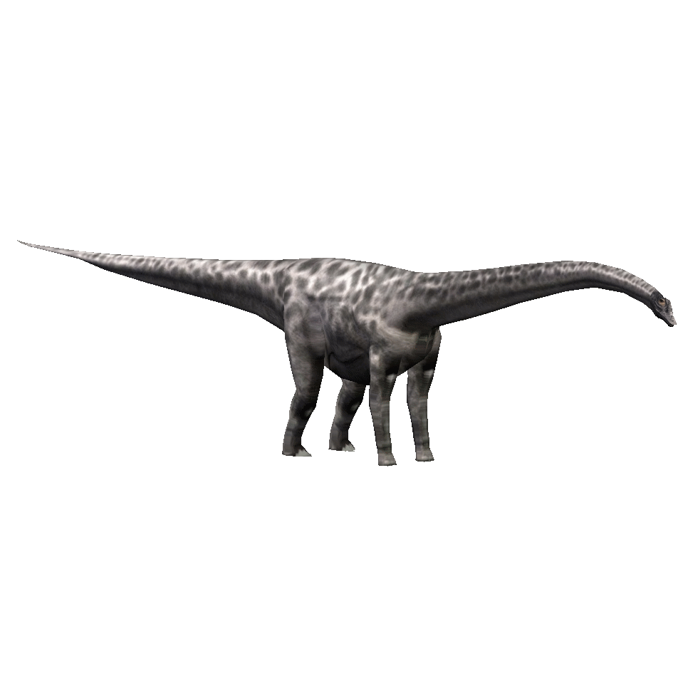 Diplodocus (Royboy407) | ZT2 Download Library Wiki | FANDOM powered by ...