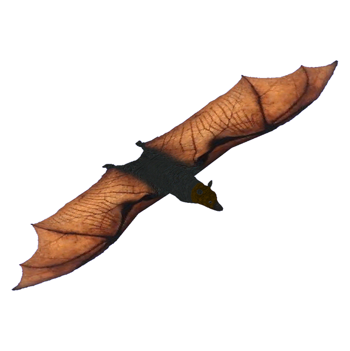 dating forum bat dating forum bat