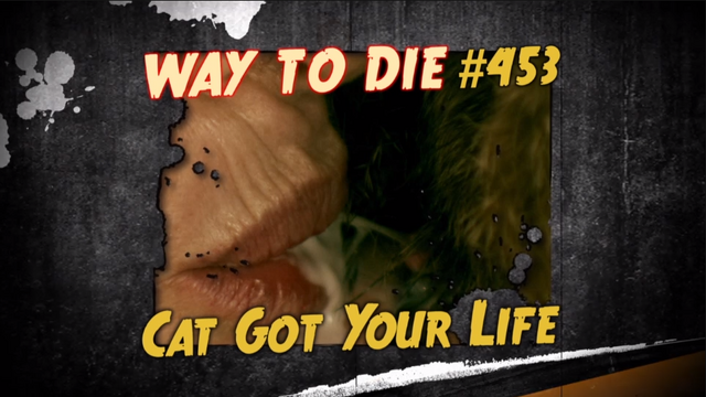 File:Cat Got Your Life.png