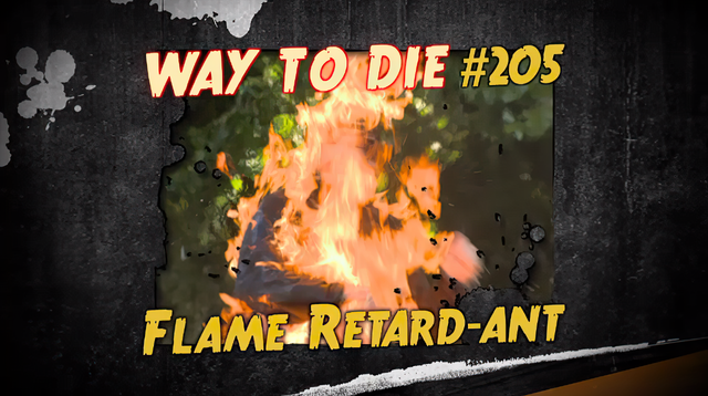 File:Flame Retard-ant.png