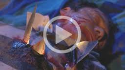 File:Beer Bashed.jpg
