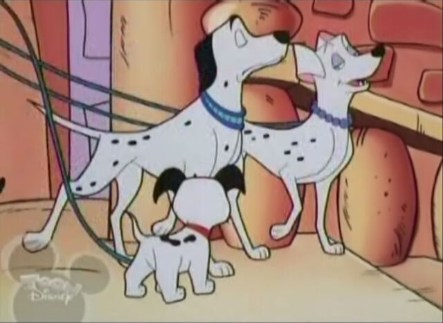 File:Coco and Beamer 6.jpg