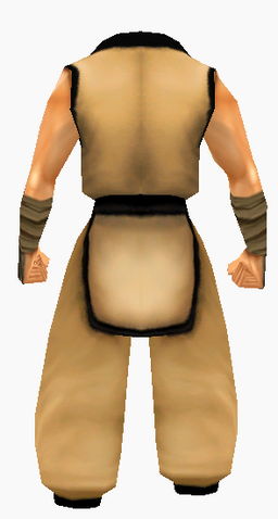 File:Gaunyin-robe-male-back.png