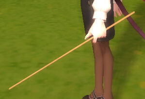 Teacher Stick.jpg