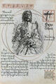 Thumbnail for version as of 00:49, September 9, 2012