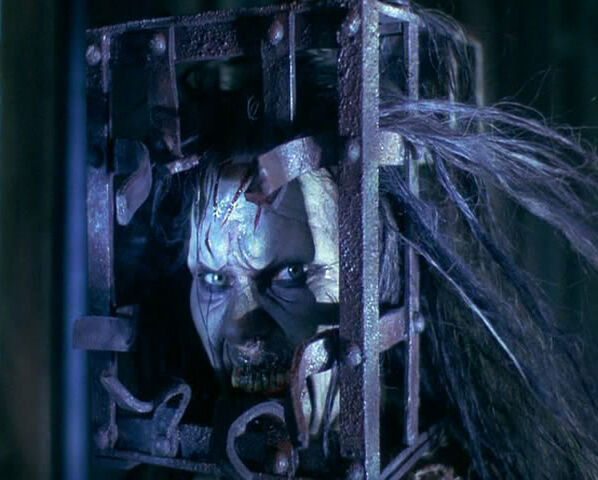 File:Jackal2.jpg