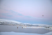 Tromsø airport