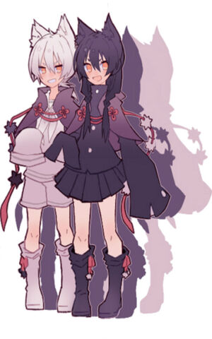 File:Kuroku & Shiroro.jpg