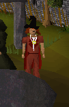 File:Hat 2.PNG