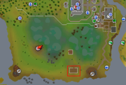 1244206378364452