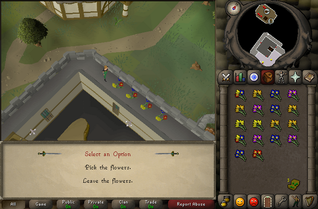 File:Player plants flowers.png