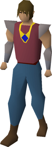 File:Sapphire necklace equipped.png