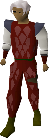 File:Red d'hide armour equipped.png