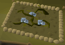 Blindweed patch