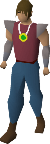 File:Emerald amulet equipped.png