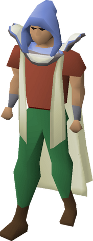 File:Defence hood equipped.png