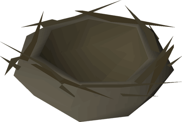 File:Bird nest detail.png
