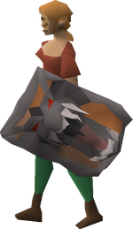 Image result for dragonfire shield