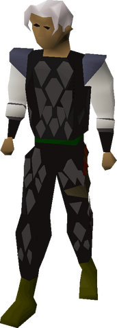 File:Black d'hide armour equipped.png