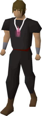 File:Salve amulet (e) equipped.png