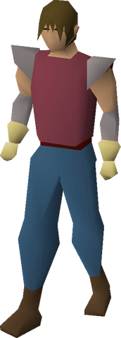 File:Goldsmith gauntlets equipped.png