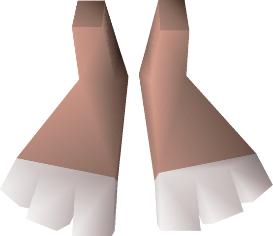 File:Bunny feet detail.png