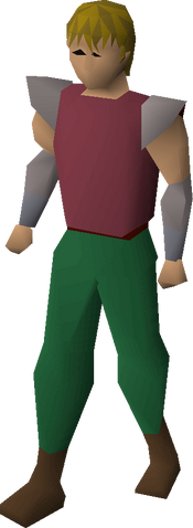 File:Bowl wig equipped.png