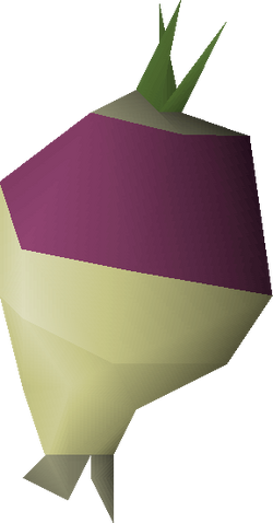 File:Shrunk ogleroot detail.png
