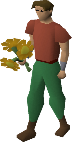 File:Orange flowers equipped.png