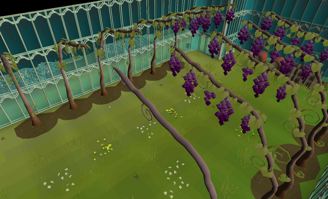 File:Vinery.png