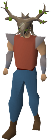 File:Hornwood helm equipped.png